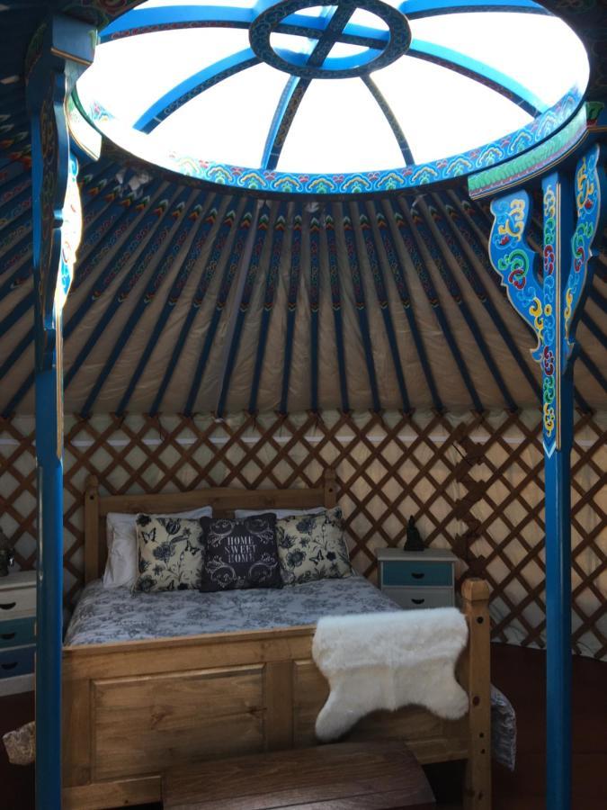 French Fields Luxury Glamping Original Mongolian Yurt Hotell Le-Vieux-Cerier Exteriör bild